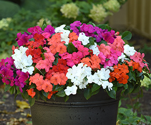 A multi-color decorative container sits on a patio in a garden setting.