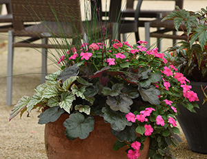 A mixed flower combination in a deco pot next to patio furniture.