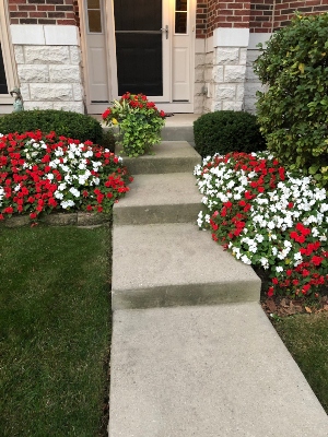 Front porch with fully grown Beacon White and Red Impatiens