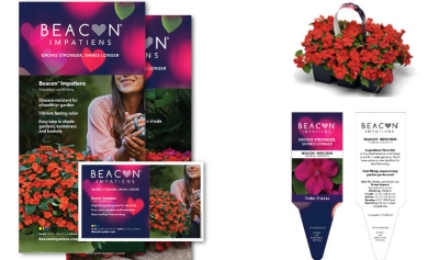 A grouping of Beacon Impatiens Poster, Bench card and plant tags