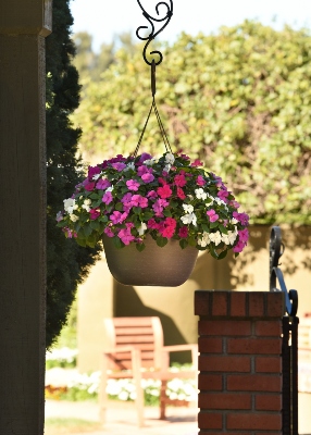 A hangng basket with colorful blooms in a shady patio