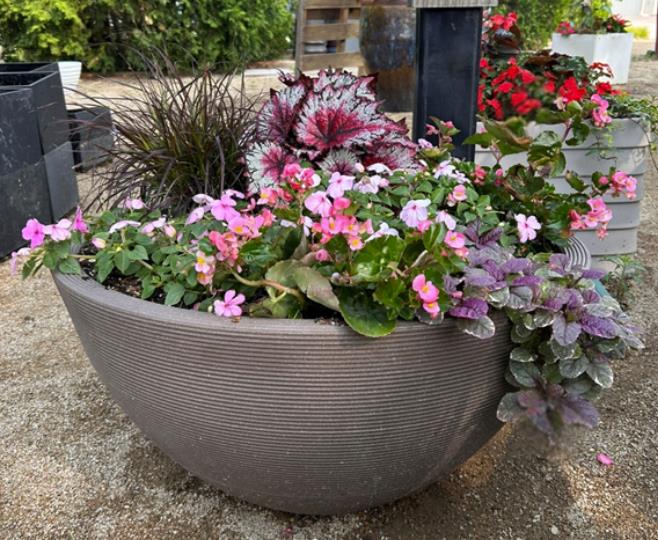 grey, bowl shaped container with pink flowers surrounding a pale pink leaf and black grass