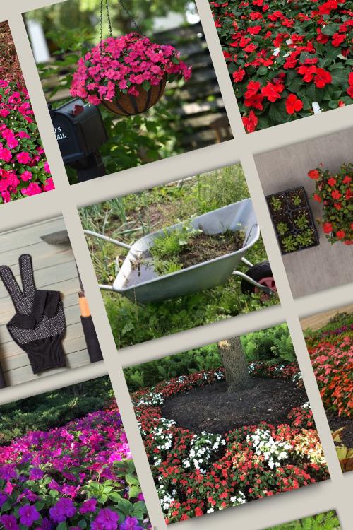 Picture with 9 boxes and photos of flowers in each box