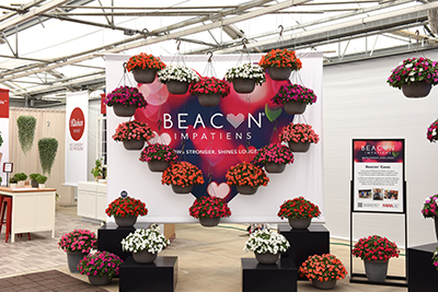 Heart display of Beacon Impatiens in hanging baskets
