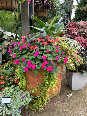 Shade containers with vibrant-colored flowers and foliage