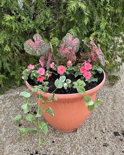 How to Design a Shade Container for Your Porch (level: easy)