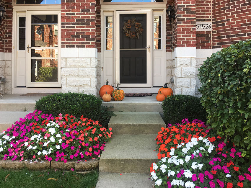 Photo of Beacon® impatiens in Fall setting