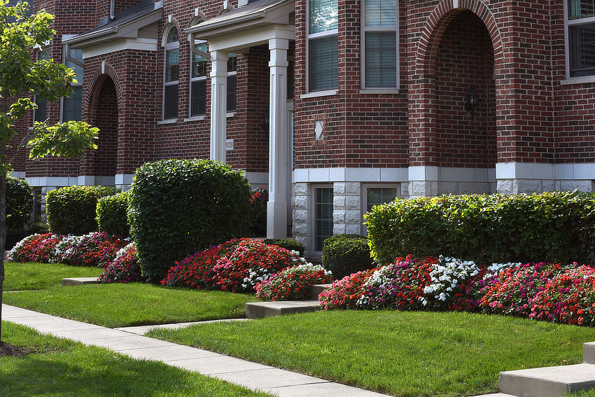 Photo of Beacon® impatiens in city landscape